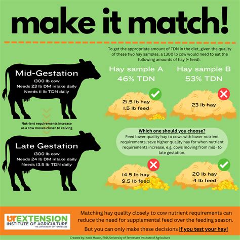 Cattle Nutrition: FAQ.